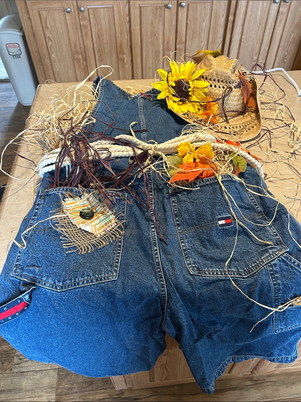 SCARECROW Costume - Picture 2 of 5